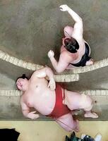 優勝決定戦で熱海富士（下）が首投げで安青錦に敗れる