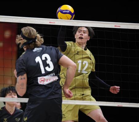 はつらつとプレーする高橋藍（撮影・坂部計介）