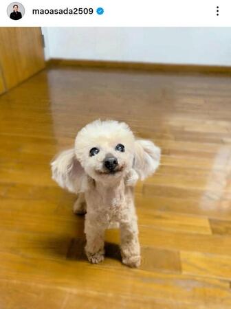 　エアロが亡くなったことを報告した２４年７月２３日付の浅田真央さんのインスタグラム＠ｍａｏａｓａｄａ２５０９より