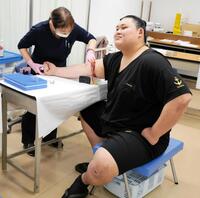 採血を受ける大の里