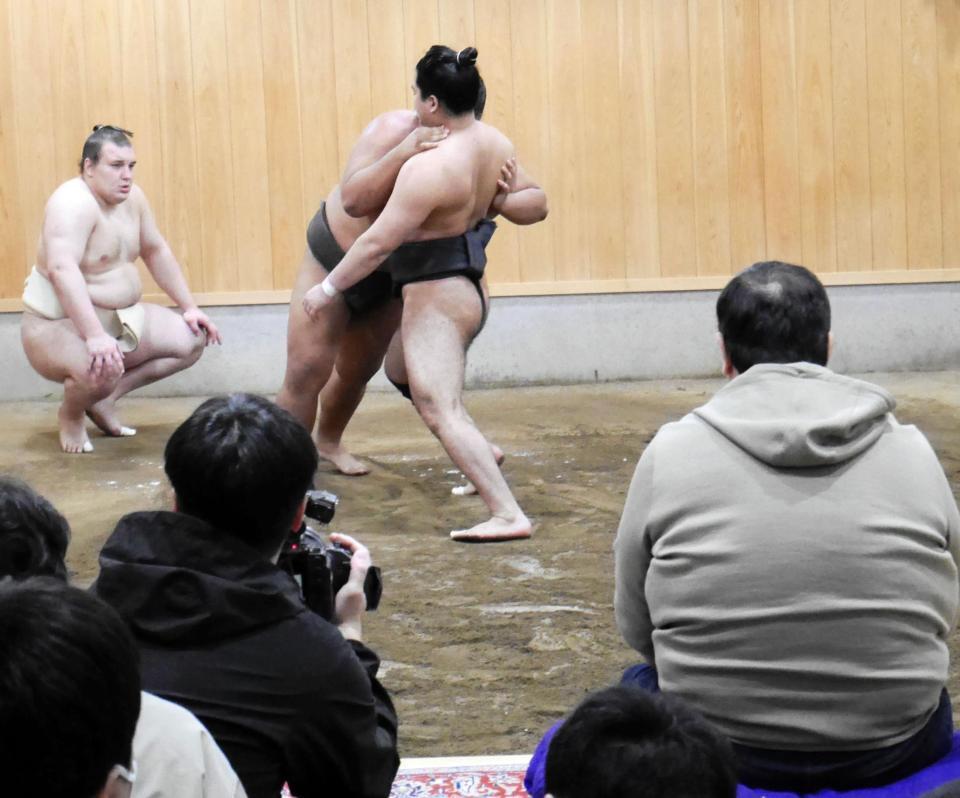 若い衆の相撲に視線を向ける安青錦