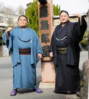 新入幕を決めた藤青雲（右）と藤凌駕