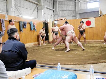 土俵に視線を向ける湊川親方