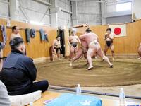 土俵に視線を向ける湊川親方