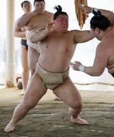 稽古で汗を流す義ノ富士