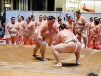 大の里に胸を出す琴桜