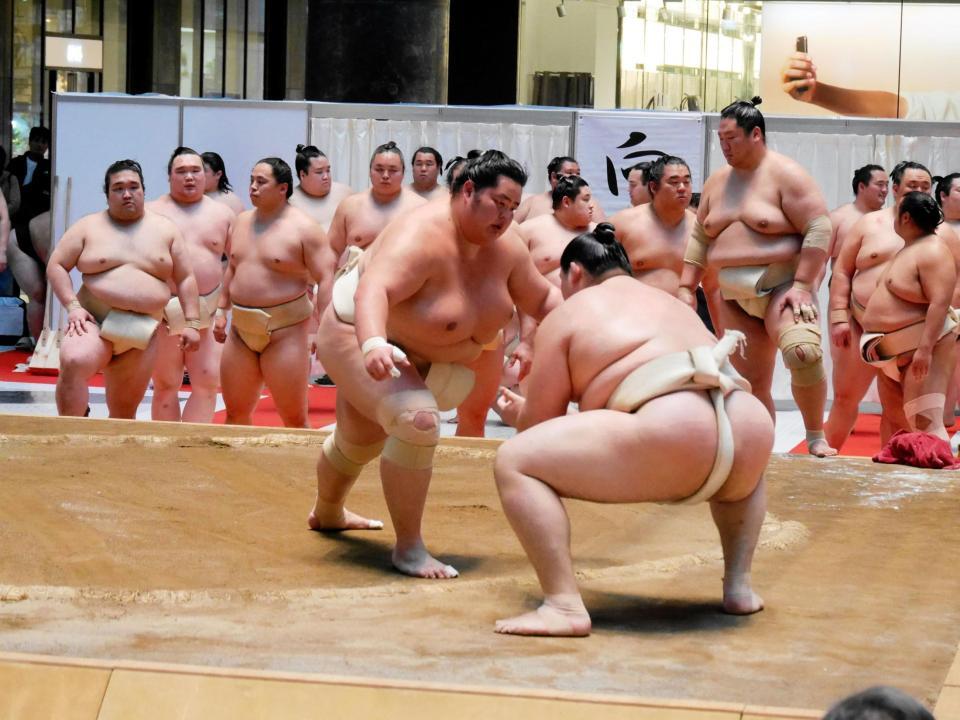 大の里に胸を出す琴桜