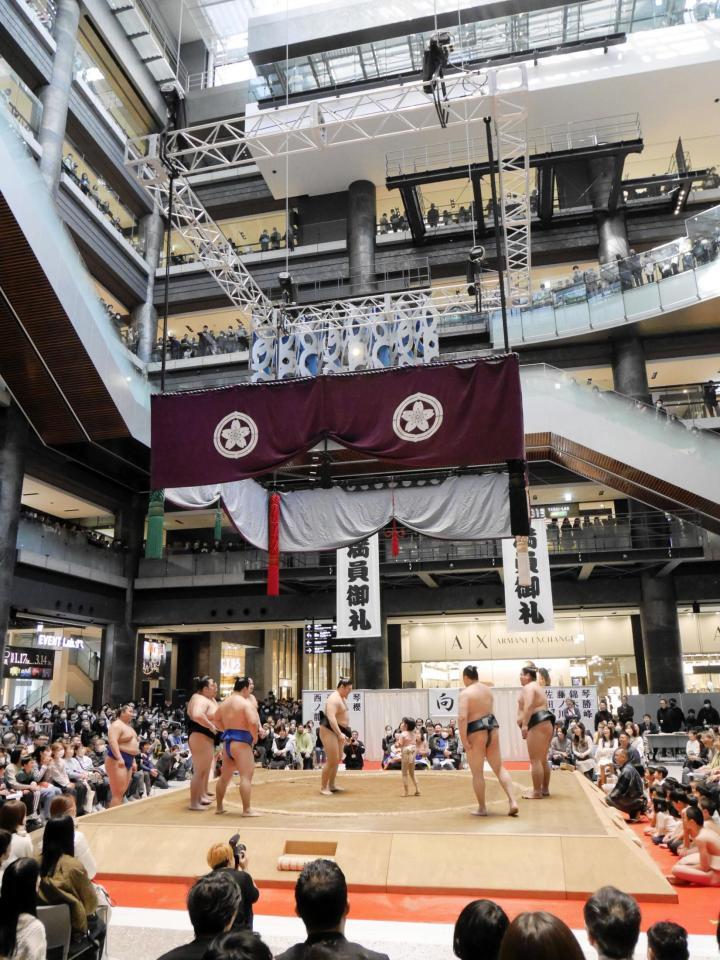 「うめきた場所」ちびっこ相撲で盛り上がる