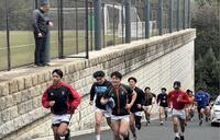 元木ＧＭ（左上）が見守る前で坂道ダッシュをする京産大のメンバー