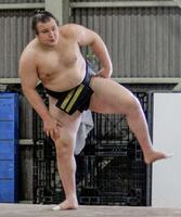 　新調した黒色の締め込み姿で四股を踏む安青錦