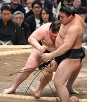 若元春（右）を寄り切る安青錦＝エディオンアリーナ大阪（撮影・高部洋祐）