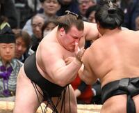 若元春（右）を攻める安青錦（撮影・高部洋祐）