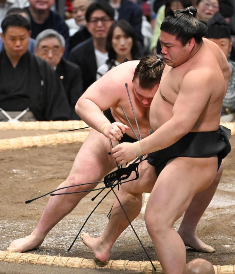 若元春（右）を寄り切る安青錦＝エディオンアリーナ大阪（撮影・高部洋祐）