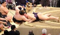 安青錦を寄り倒しで破る義ノ富士（右）。左奥は豊昇龍＝（撮影・中田匡峻）