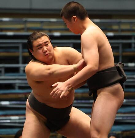 前相撲で島野（右）を押す白月狼（撮影・中田匡峻）