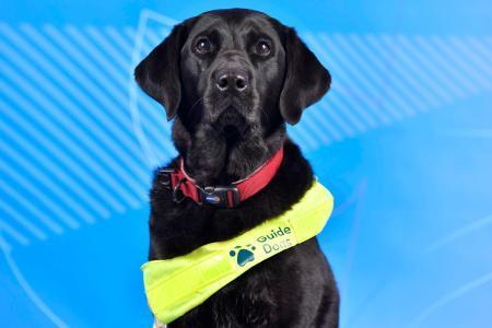 　パラリンピックの英国選手を支える補助犬「ピックル」（ＰａｒａｌｙｍｐｉｃｓＧＢ提供、共同）