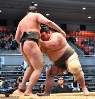 天狼星（左）を寄り切りで破る岡田（撮影・中田匡峻）