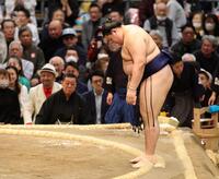 藤ノ川に引き落としで敗れ、力なく一礼する大の里（撮影・中田匡峻）