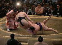 寄り倒しで安青錦を破った美ノ海（撮影・金居みつよし）