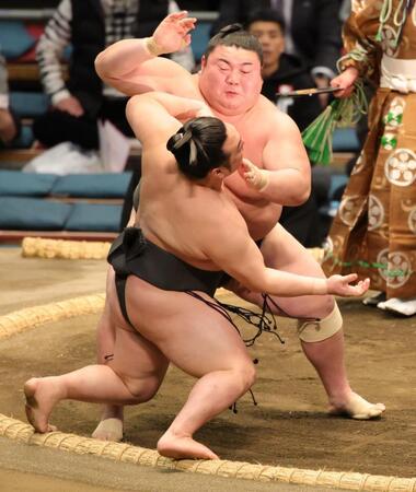 大花龍の激しい攻めに必死に耐える炎鵬（撮影・坂部計介）