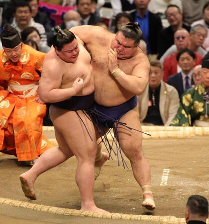 義ノ富士を寄り切りで破った高安（撮影・坂部計介）