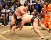 はたき込みで若元春を下した霧島（撮影・坂部計介）