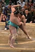 琴桜を寄りきりで下した高安（撮影・金居みつよし）