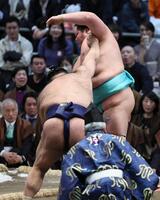 琴桜（右）が寄り切りで高安に敗れる