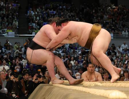 王鵬（右）に極め出しで敗れた安青錦（撮影・坂部計介）