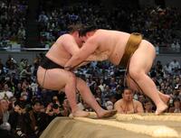 王鵬（右）に極め出しで敗れた安青錦（撮影・坂部計介）