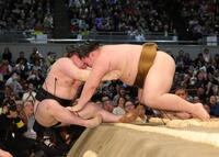 王鵬（右）に極め出しで敗れた安青錦（撮影・坂部計介）