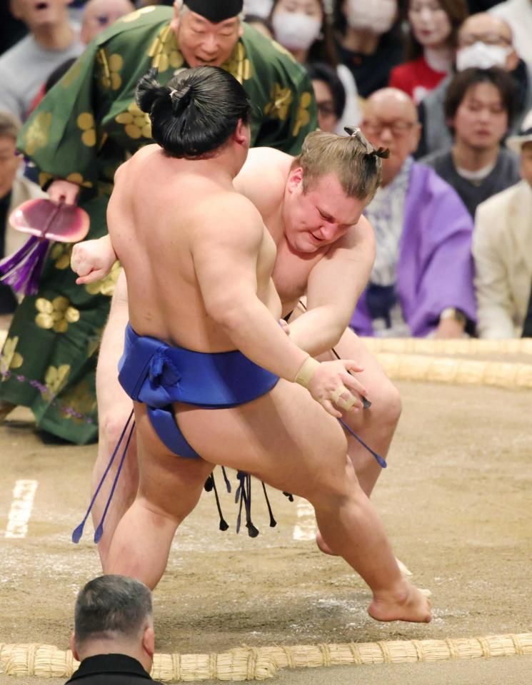 　藤ノ川を押し出す安青錦