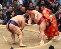 行司（右）を背にした大栄翔（中央）を攻める高安