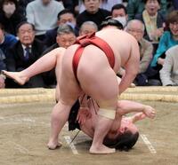 安青錦（手前）がはたき込みで隆の勝に敗れる