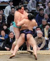 琴桜（奥）が寄り切りで平戸海に敗れる