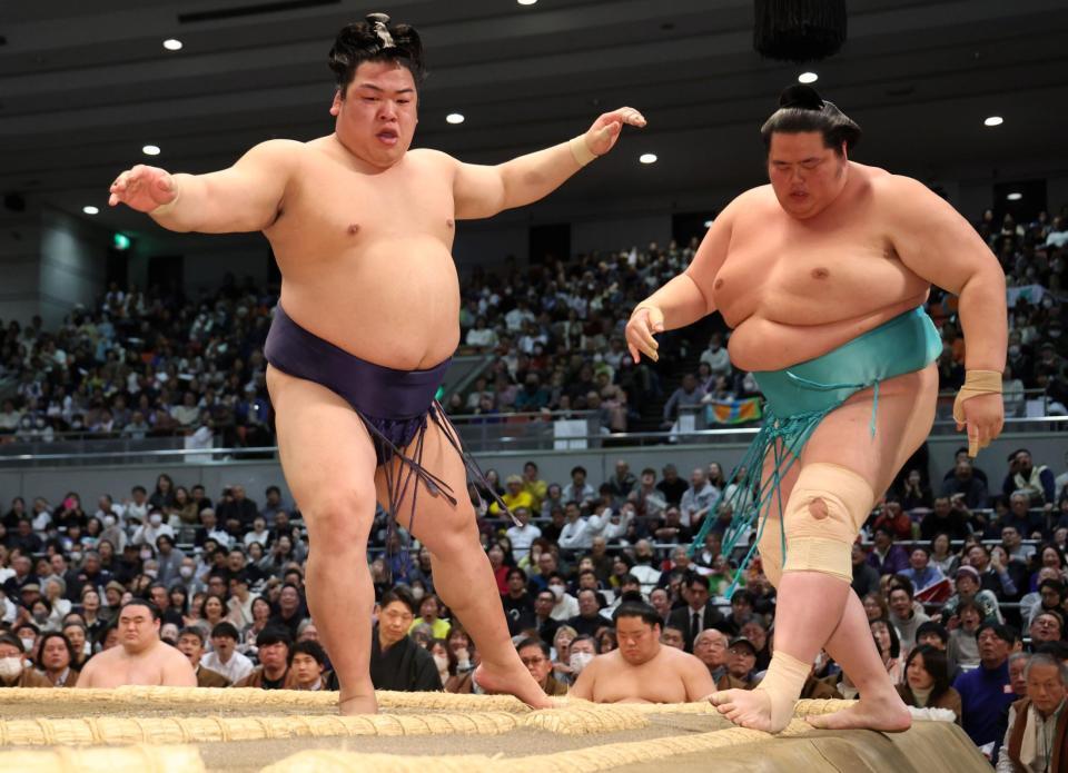 琴桜（右）を寄り切りで破る平戸海（撮影・中田匡峻）