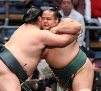 錦木（左）に寄り切りで敗れた島津海（撮影・中田匡峻）