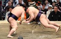 義ノ富士（右）を引き落としで破る若隆景（撮影・中田匡峻）