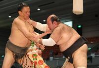 潮来桜（左）を攻める森麗（撮影・坂部計介）