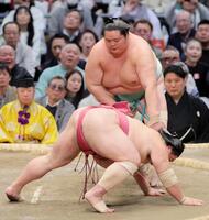 琴桜（奥）がはたき込みで大栄翔を下す