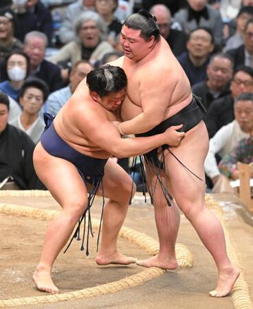 正代（右）を寄り切る朝白龍（撮影・高部洋祐）