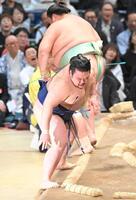琴桜（奥）に敗れた豪ノ山（撮影・高部洋祐）