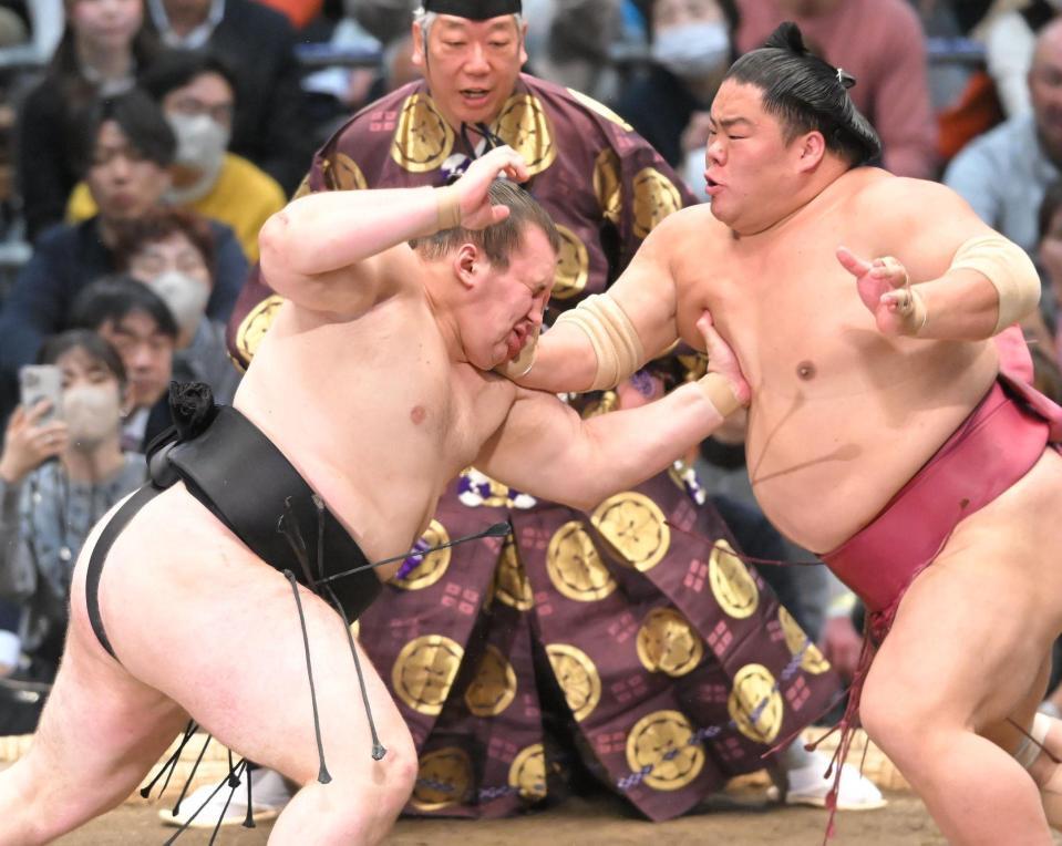 大栄翔（右）の激しい攻めを受ける安青錦（撮影・高部洋祐）