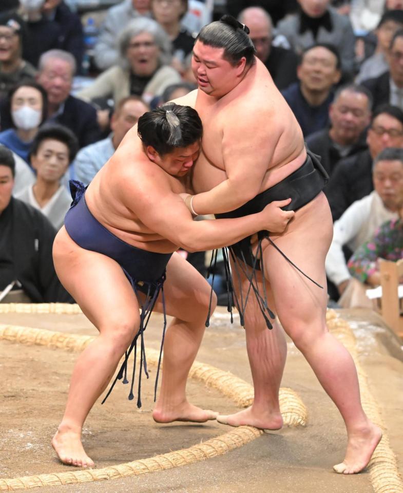 正代（右）を寄り切る朝白龍（撮影・高部洋祐）