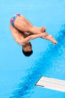 男子板飛び込み決勝　優勝した伊熊扇李の演技