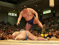 琴勝峰を叩き込みで下した豊昇龍（撮影・石湯恒介）