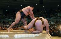 王鵬を寄り倒しで下した霧島（撮影・石湯恒介）