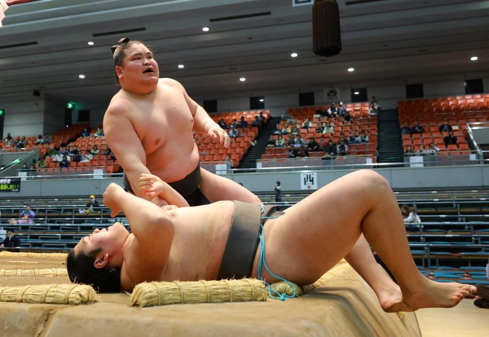 天昇山を上手投げで下した旭富士（撮影・石湯恒介）