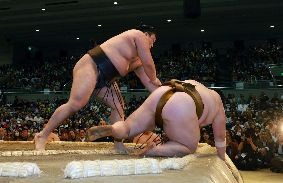 王鵬を寄り倒しで下した霧島（撮影・石湯恒介）