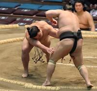 押し出しで美浜海（右）を下した朝阪神（撮影・坂部計介）